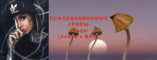 2c-b Бородино