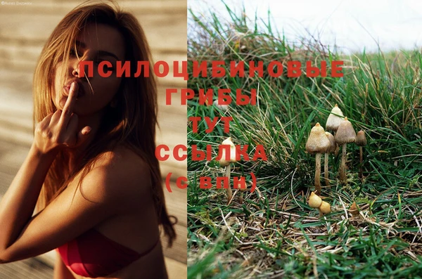 прущая мука Богородск