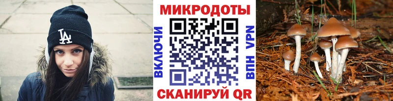 Псилоцибиновые грибы Psilocybine cubensis  Купить закладки  Нарткала 